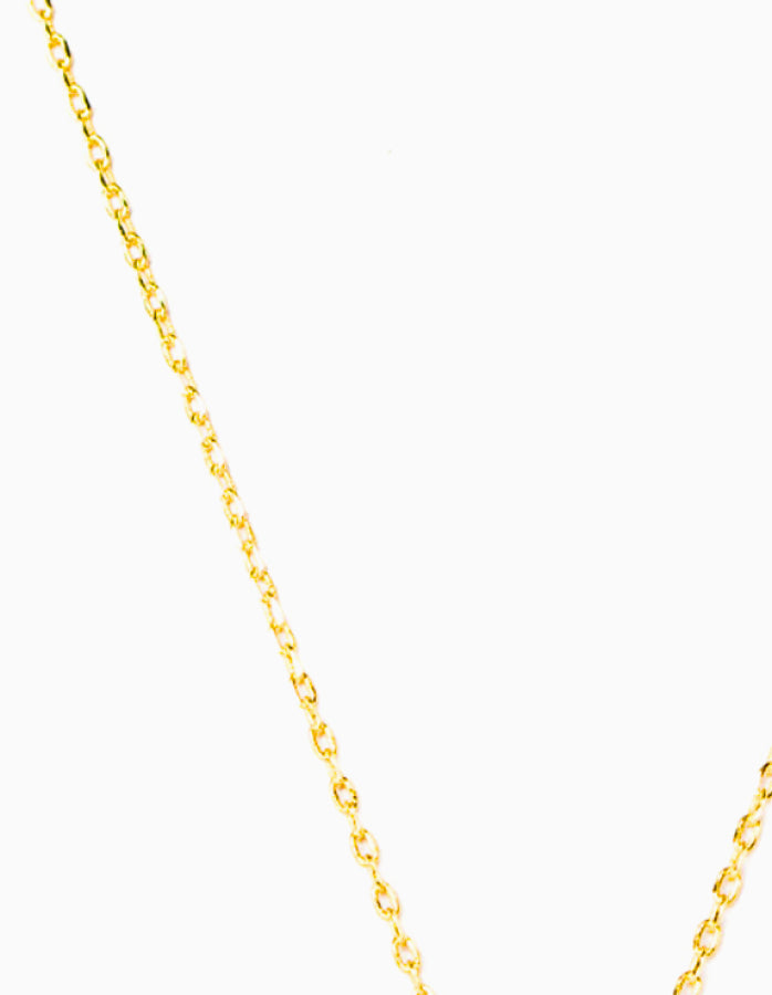 Lost Medallion Necklace